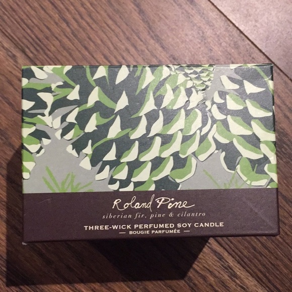 ❤️BUY 5 GET 3 FREE  ROLAND PINE LARGETHREE WICK CANDLE - Picture 4 of 8
